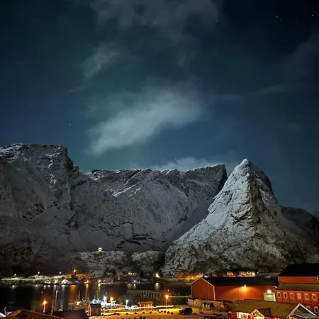 Reinebua * Reine